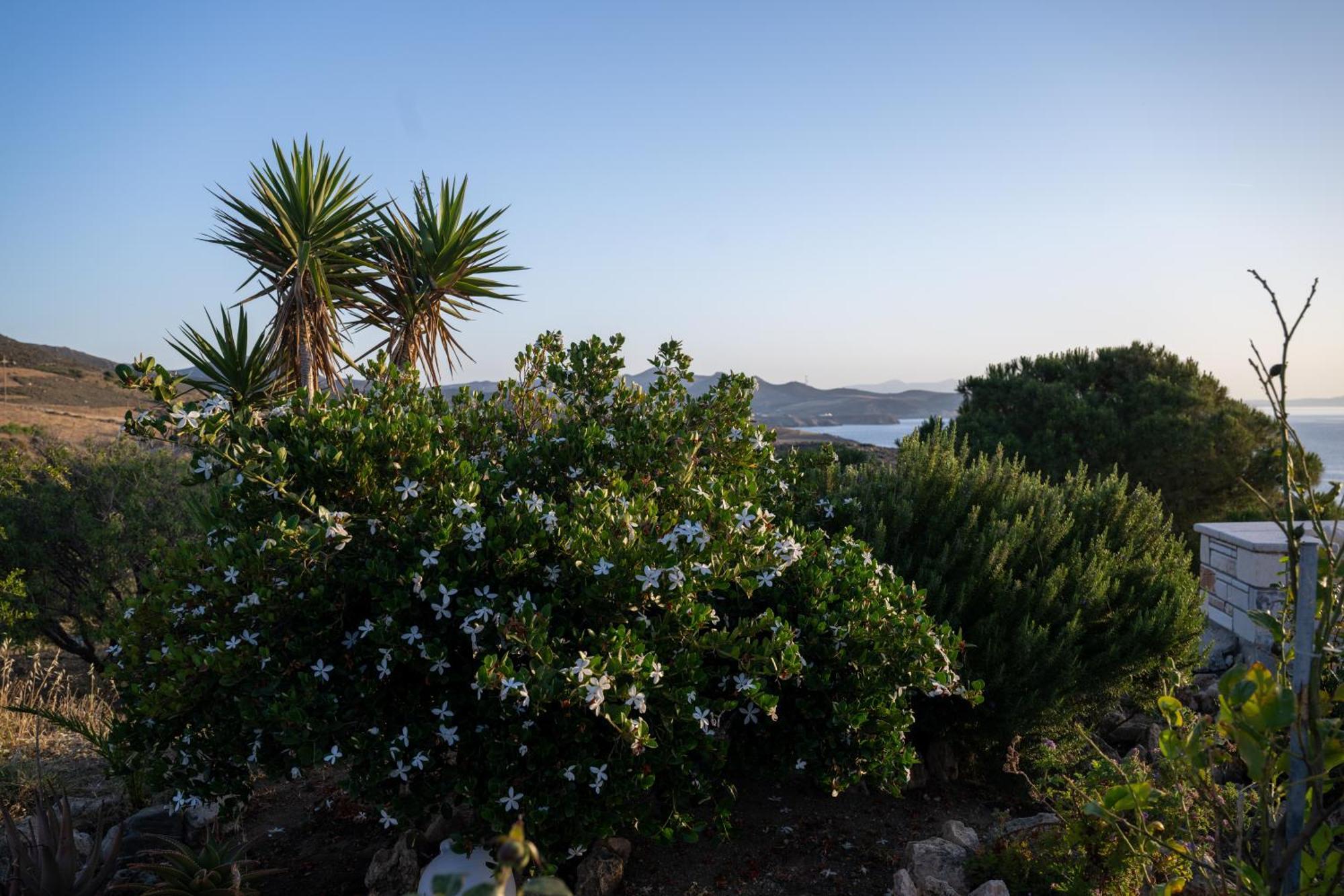 'Sophie'S Villa' Akrotiri  Exterior foto
